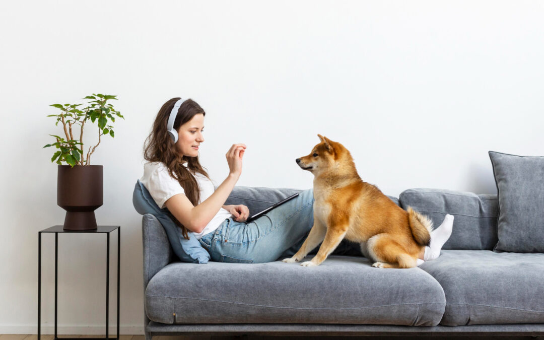 Pet-Friendly Furniture Materials That Hold Up